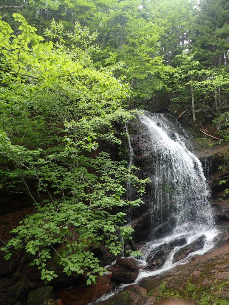 The Fundy Trail Parkway- A 20K Bike Ride in New Brunswick | Adventure ...